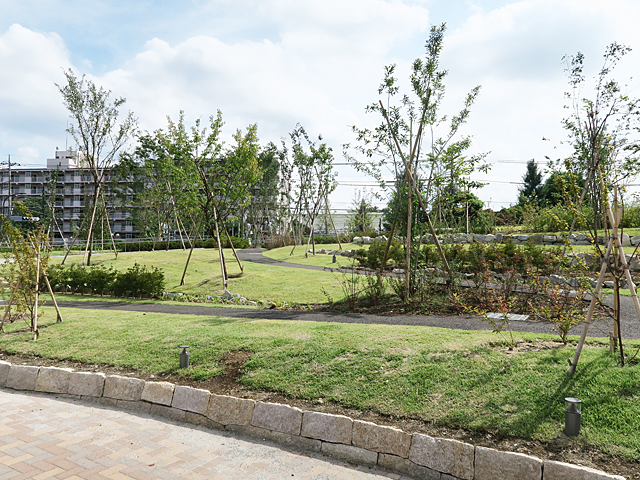 三鷹市防災公園の庭園デザインと緑化管理を行っております。