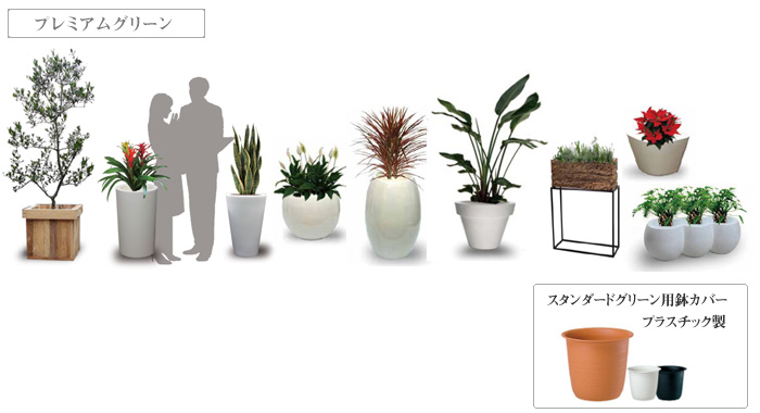 インパクトのあるおしゃれな鉢と様々観葉植物の組み合わせが可能